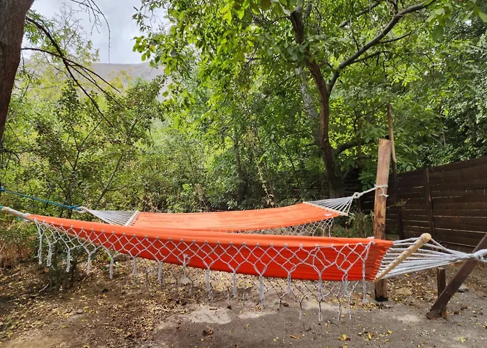 Cabana De Montana